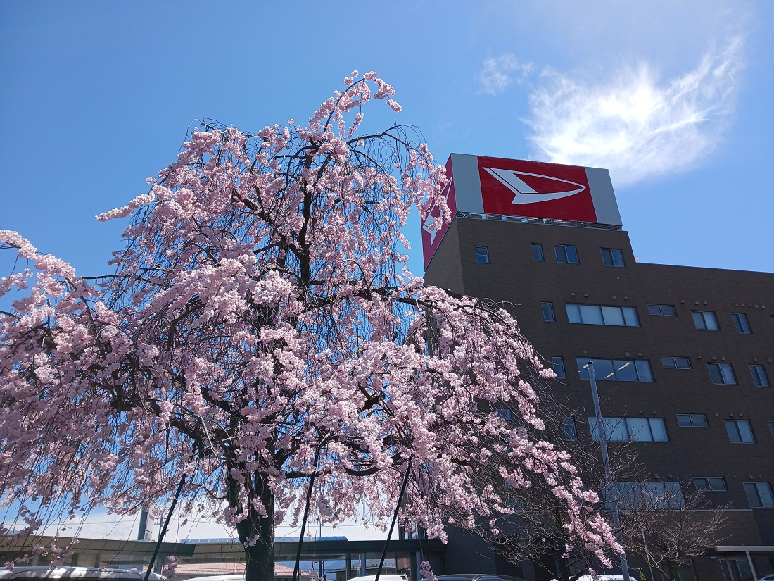 📷 あなたの愛車が主役に！